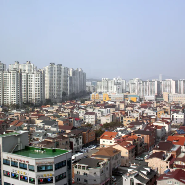 포레스트 나연센터 테라피 대표 안내 이미지
