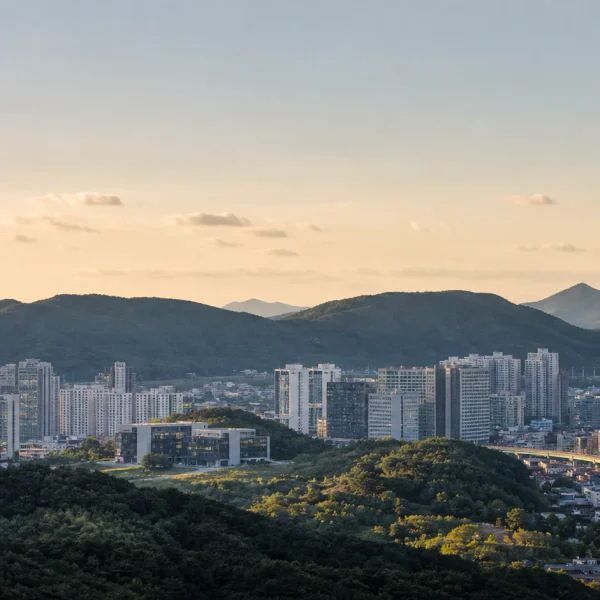 프리미엄 로제아지트 테라피 대표 안내 이미지